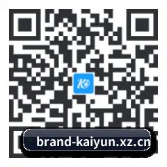 Android 全机型适配版 二维码